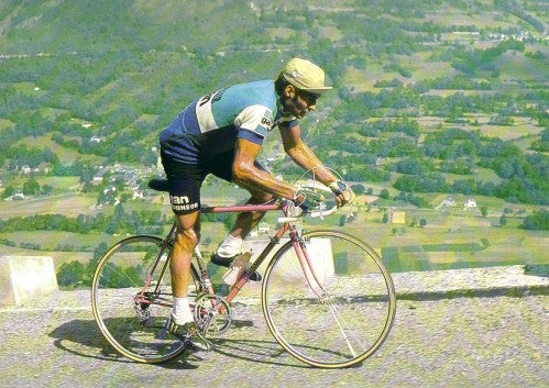 Velo discount mercier poulidor